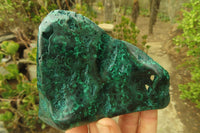 Polished Flower Malachite Free Forms x 3 From Congo