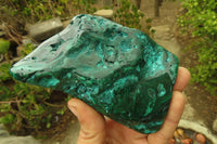 Polished Flower Malachite Free Forms x 3 From Congo