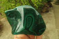 Polished Flower Malachite Free Forms x 3 From Congo