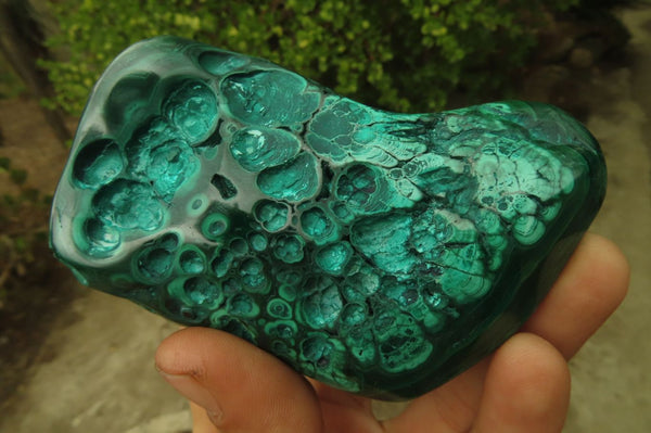 Polished Flower Malachite Free Forms x 3 From Congo