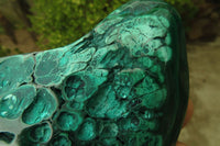 Polished Flower Malachite Free Forms x 3 From Congo