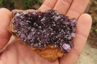 Natural Amethyst Clusters x 12 From Kwaggafontein, South Africa