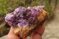 Natural Amethyst Clusters x 12 From Kwaggafontein, South Africa