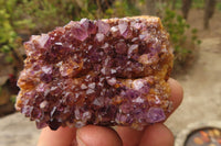 Natural Amethyst Clusters x 12 From Kwaggafontein, South Africa