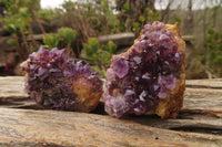 Natural Amethyst Clusters x 12 From Kwaggafontein, South Africa