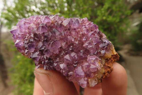 Natural Amethyst Clusters x 12 From Kwaggafontein, South Africa