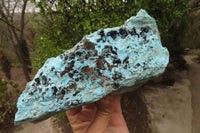 Natural Chrysocolla Dolomite Specimen x 1 From Likasi, Congo