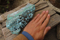 Natural Chrysocolla Dolomite Specimen x 1 From Likasi, Congo