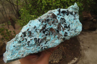 Natural Chrysocolla Dolomite Specimen x 1 From Likasi, Congo