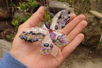 Polished Large Gemstone Butterfly - sold per piece From South Africa