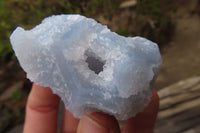 Natural Etched Blue Chalcedony Specimens x 12 From Nsanje, Malawi