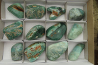 Polished Emerald Mtorolite Galet-Palm Stones x 12 From Mutorashanga, Zimbabwe