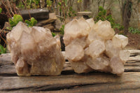 Natural Smokey Quartz Clusters x 2 From Luena, Congo