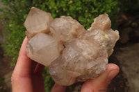 Natural Smokey Quartz Clusters x 2 From Luena, Congo