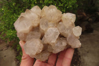 Natural Smokey Quartz Clusters x 2 From Luena, Congo