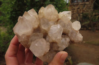 Natural Smokey Quartz Clusters x 2 From Luena, Congo