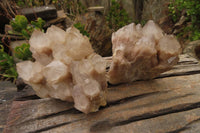 Natural Smokey Quartz Clusters x 2 From Luena, Congo