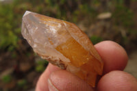 Natural Quartz Crystals x 35 From Brandberg, Namibia