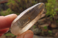 Natural Quartz Crystals x 35 From Brandberg, Namibia