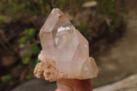 Natural Quartz Crystals x 35 From Brandberg, Namibia