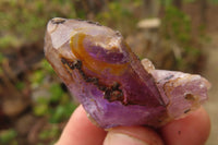 Natural Quartz Crystals x 35 From Brandberg, Namibia