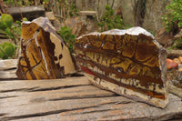 Polished On One Side Nguni Jasper Specimens x 2 From Prieska, South Africa