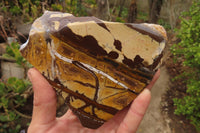 Polished On One Side Nguni Jasper Specimens x 2 From Prieska, South Africa