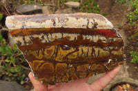 Polished On One Side Nguni Jasper Specimens x 2 From Prieska, South Africa