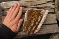 Polished On One Side Nguni Jasper Specimens x 2 From Prieska, South Africa