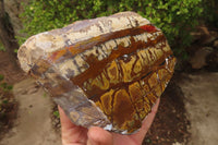 Polished On One Side Nguni Jasper Specimens x 2 From Prieska, South Africa