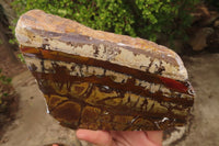 Polished On One Side Nguni Jasper Specimens x 2 From Prieska, South Africa