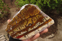 Polished On One Side Nguni Jasper Specimens x 2 From Prieska, South Africa