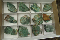 Natural Green Jade Cobbed Specimens x 12 From Swaziland