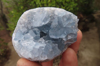 Natural Celestite Specimens x 6 From Sakoany, Madagascar