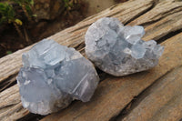 Natural Celestite Specimens x 6 From Sakoany, Madagascar