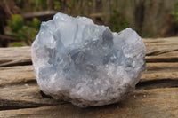 Natural Celestite Specimens x 6 From Sakoany, Madagascar