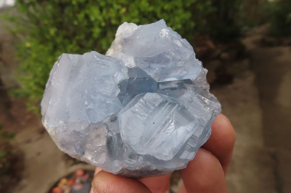 Natural Celestite Specimens x 6 From Sakoany, Madagascar