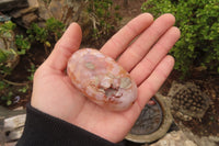 Polished Ocean Flower Agate Galet / Palm Stones x 12 From Antsahalova, Madagascar