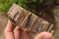 Polished Petrified Wood Branch Pieces x 2 From Gokwe, Zimbabwe