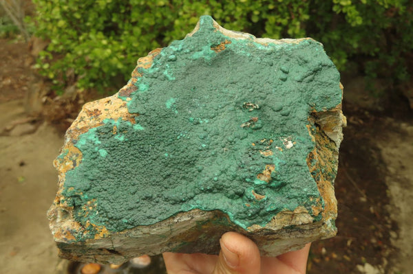 Natural Malachite Specimen x 1 From Tenke Fungumure, Congo