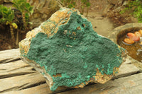 Natural Malachite Specimen x 1 From Tenke Fungumure, Congo