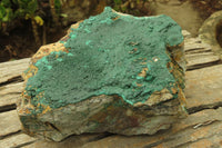 Natural Malachite Specimen x 1 From Tenke Fungumure, Congo