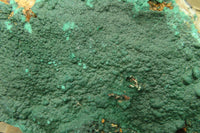 Natural Malachite Specimen x 1 From Tenke Fungumure, Congo