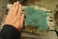 Natural Malachite Specimen x 1 From Tenke Fungumure, Congo