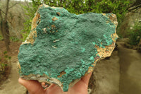 Natural Malachite Specimen x 1 From Tenke Fungumure, Congo