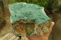 Natural Malachite Specimen x 1 From Tenke Fungumure, Congo