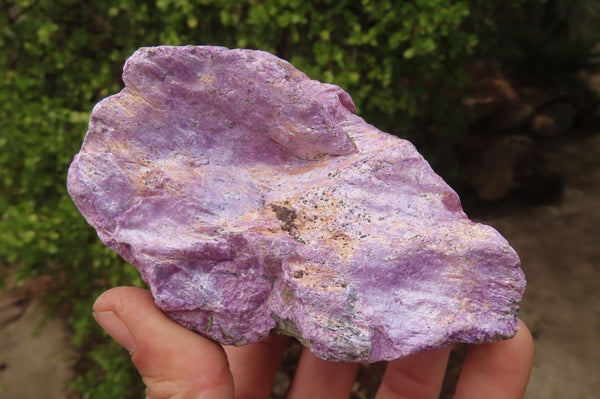 Natural Stichtite & Serpentine Cobbed Specimens x 5 From Barberton, South Africa