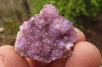 Natural Amethyst Clusters x 35 From Kwaggafontein, South Africa