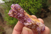 Natural Amethyst Clusters x 35 From Kwaggafontein, South Africa