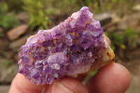 Natural Amethyst Clusters x 35 From Kwaggafontein, South Africa